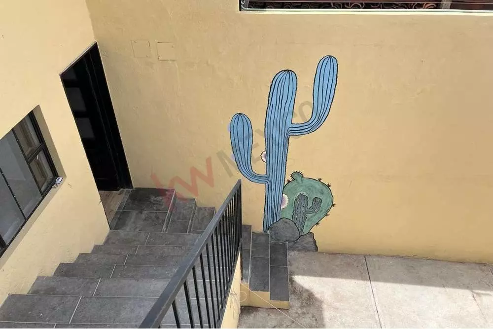 Casa Cactus — photo 6 of 10