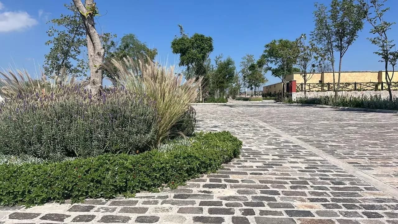 La Divina — photo 2 of 5