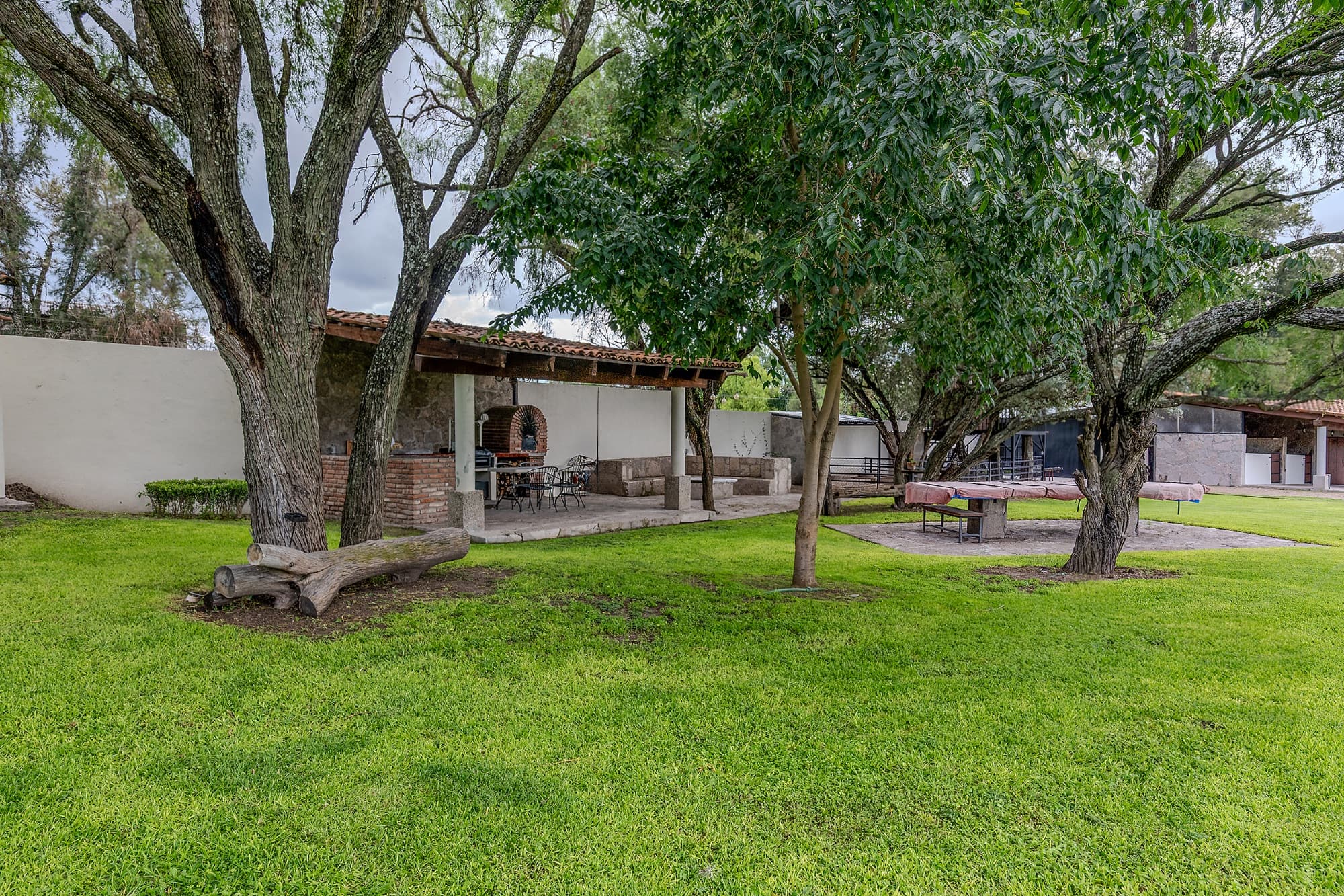Los Pinos — photo 2 of 10
