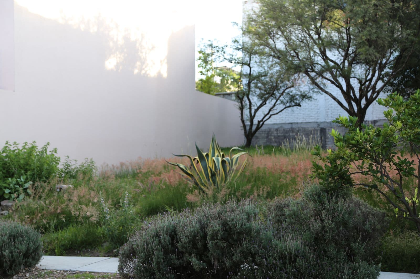 Lote San Gamliel 54 — photo 2 of 5