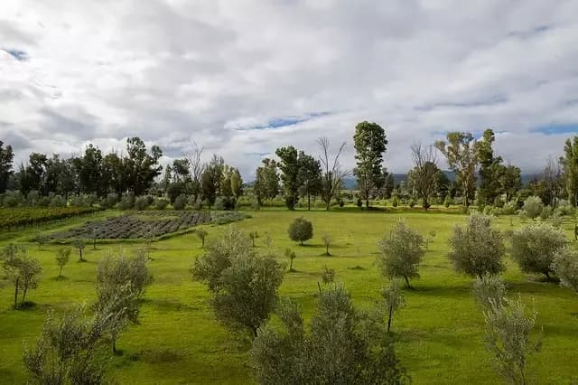 Lote Santa Lucia — photo 4 of 6