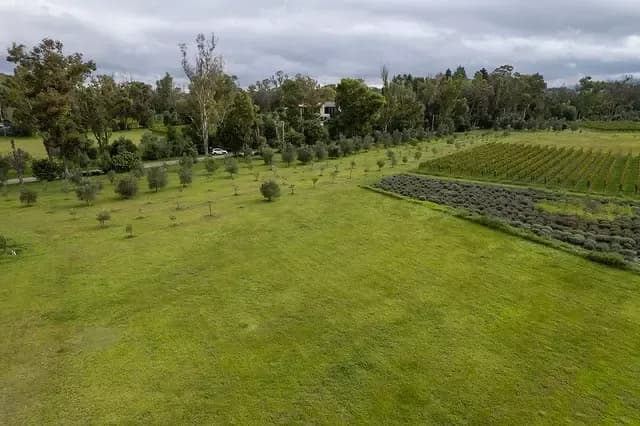 Lote Santa Lucia — photo 2 of 6