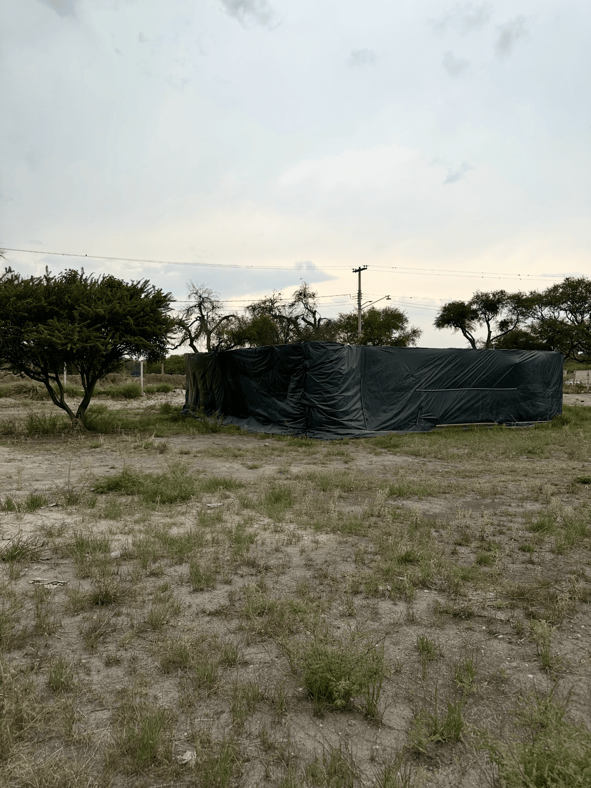 Mexiquito Lot 11 — photo 4 of 4