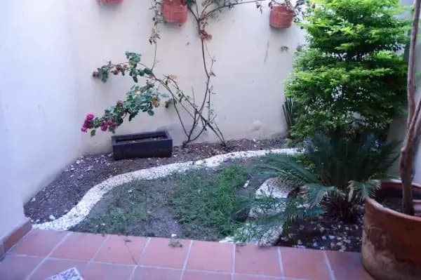 Felipe González 37 — photo 2 of 10
