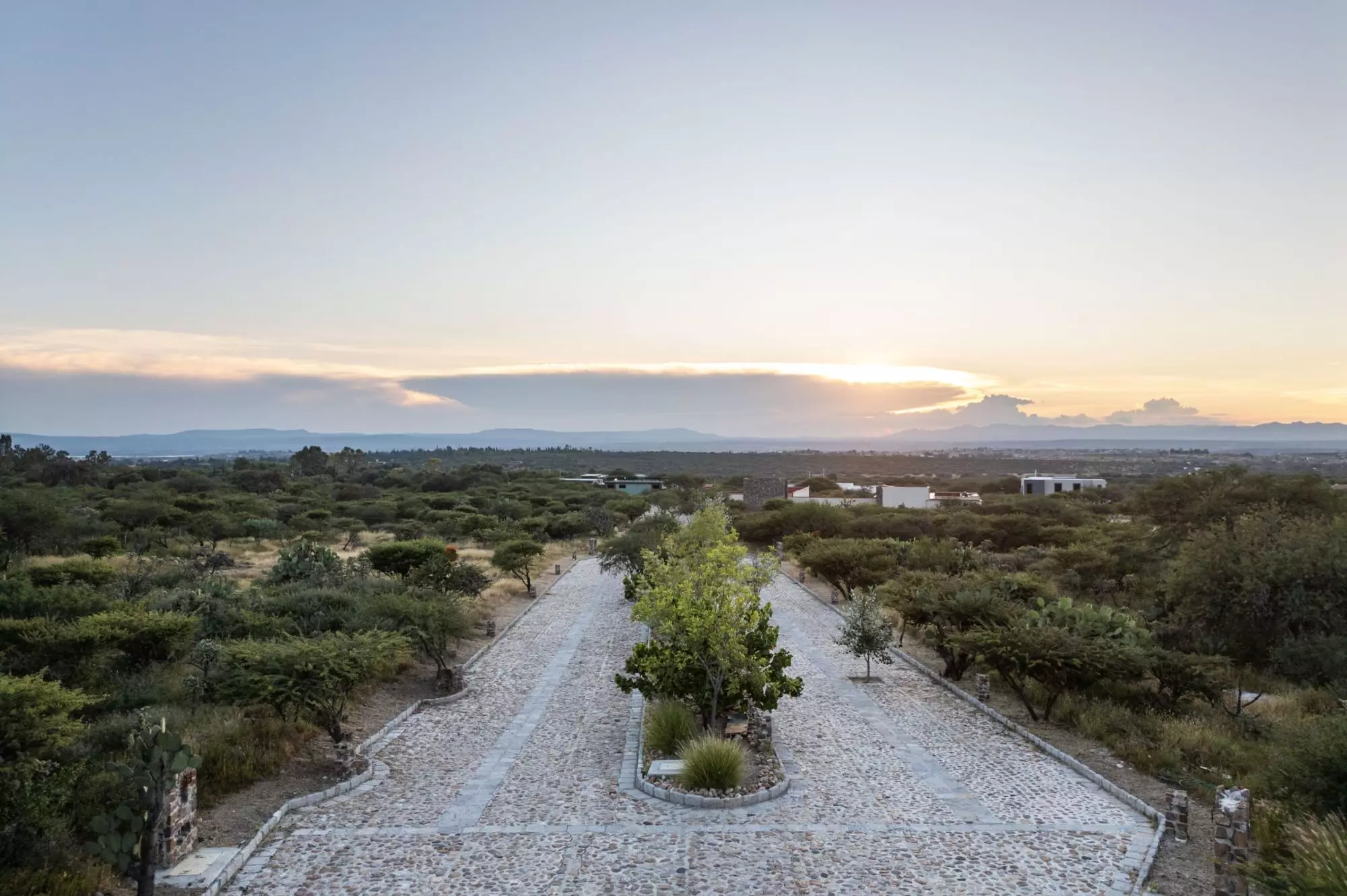 La Reserva — photo 6 of 7