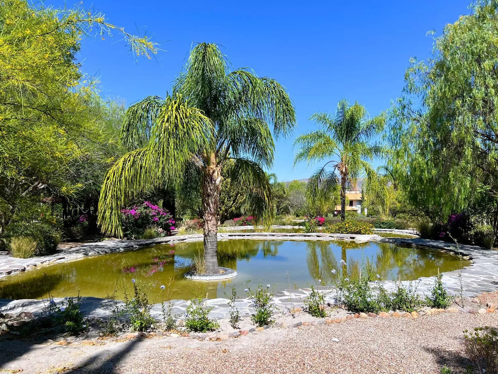 Casa Rancho Labradores — photo 5 of 10