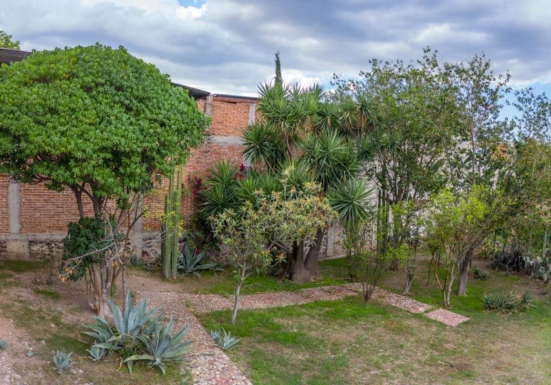 Javier Mina Lot — photo 5 of 10