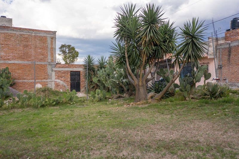 Javier Mina Lot — photo 6 of 10