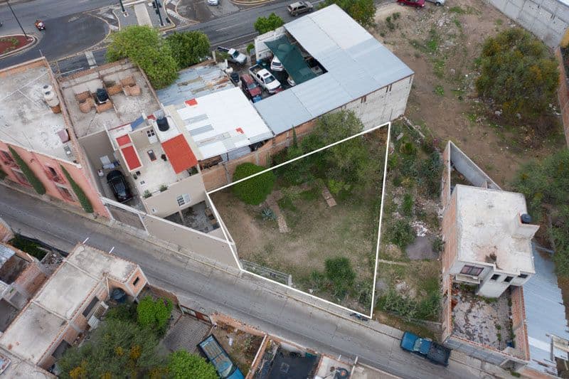 Javier Mina Lot — photo 2 of 10