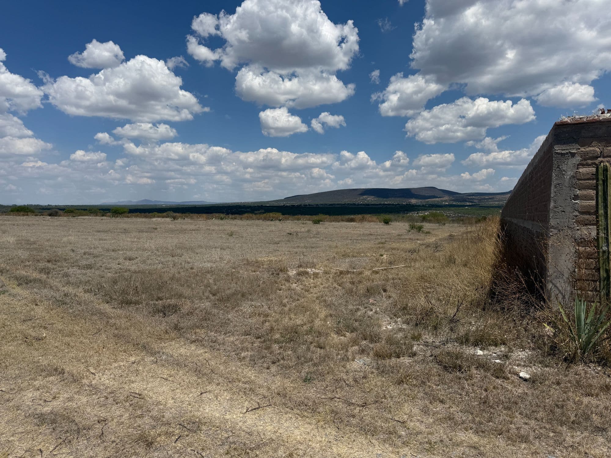 VENTA 8.8 HA CAMINO A DOLORES HIDALGO — photo 7 of 8