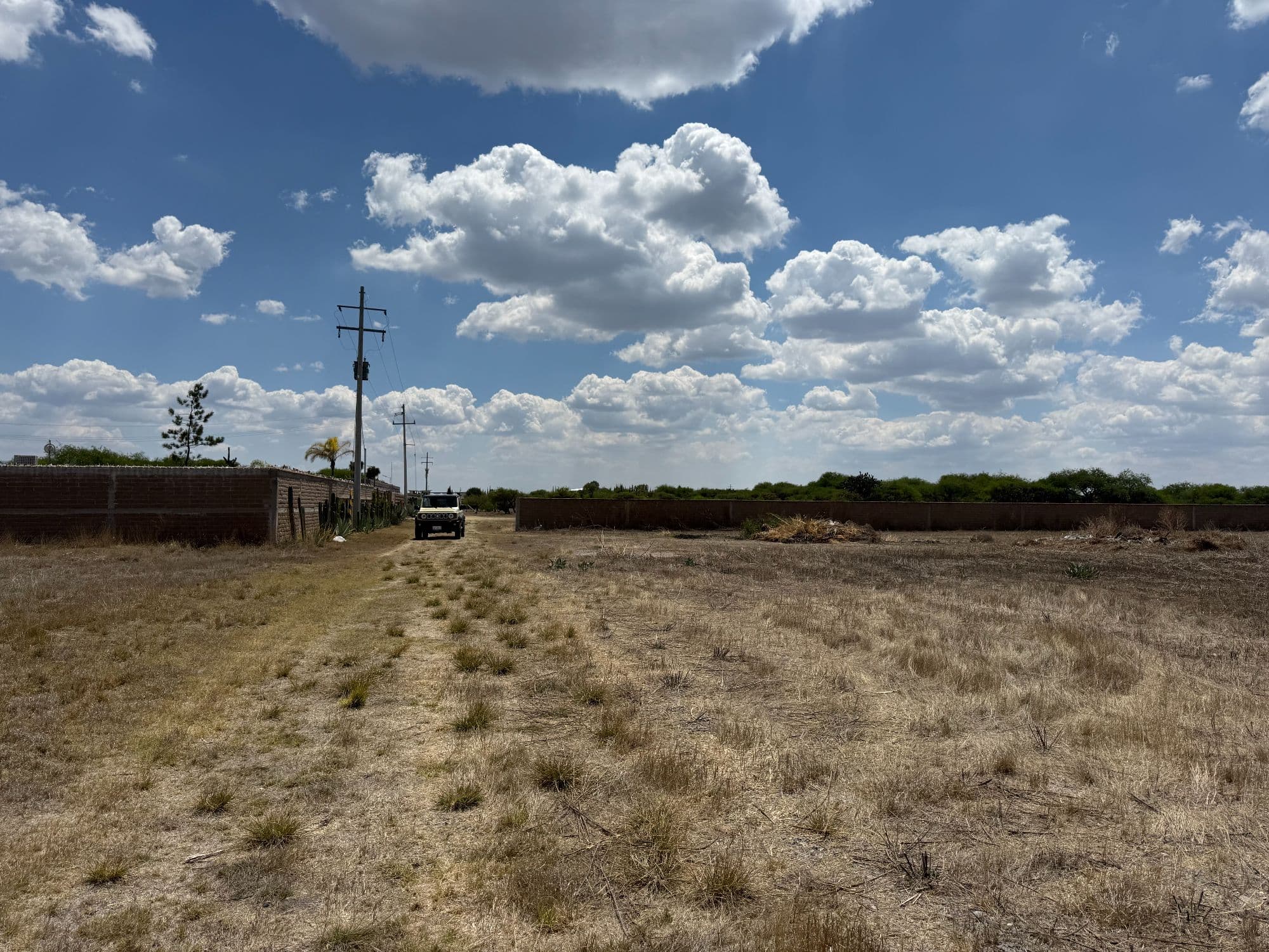 VENTA 8.8 HA CAMINO A DOLORES HIDALGO — photo 3 of 8