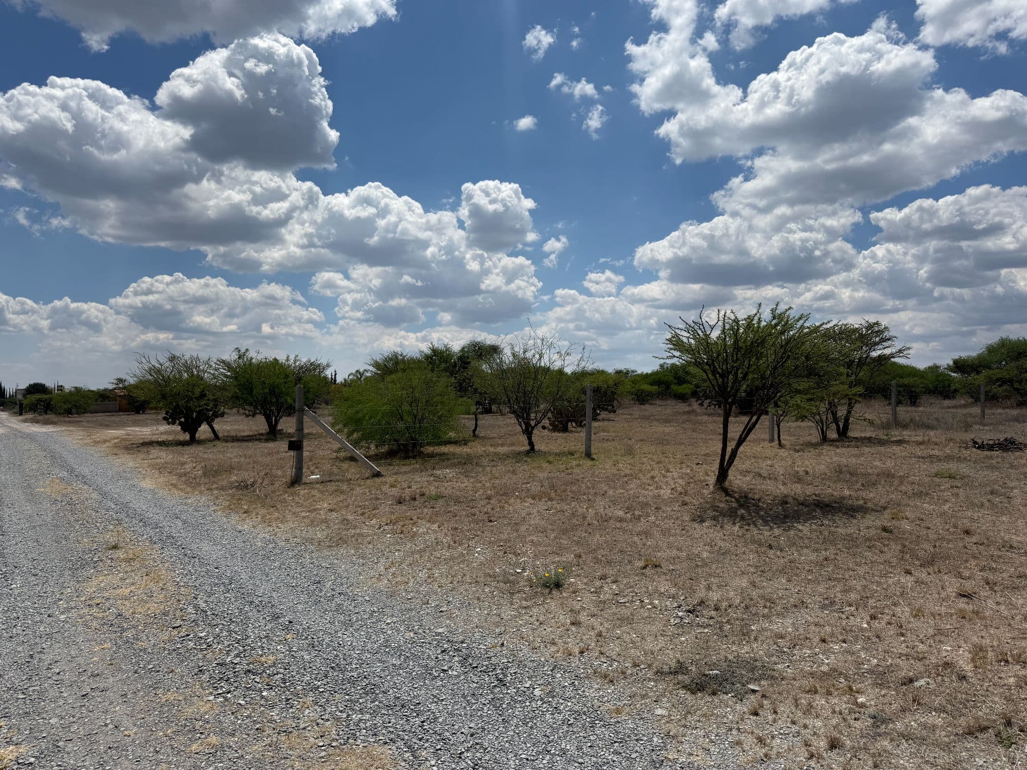 VENTA 8.8 HA CAMINO A DOLORES HIDALGO — photo 6 of 8
