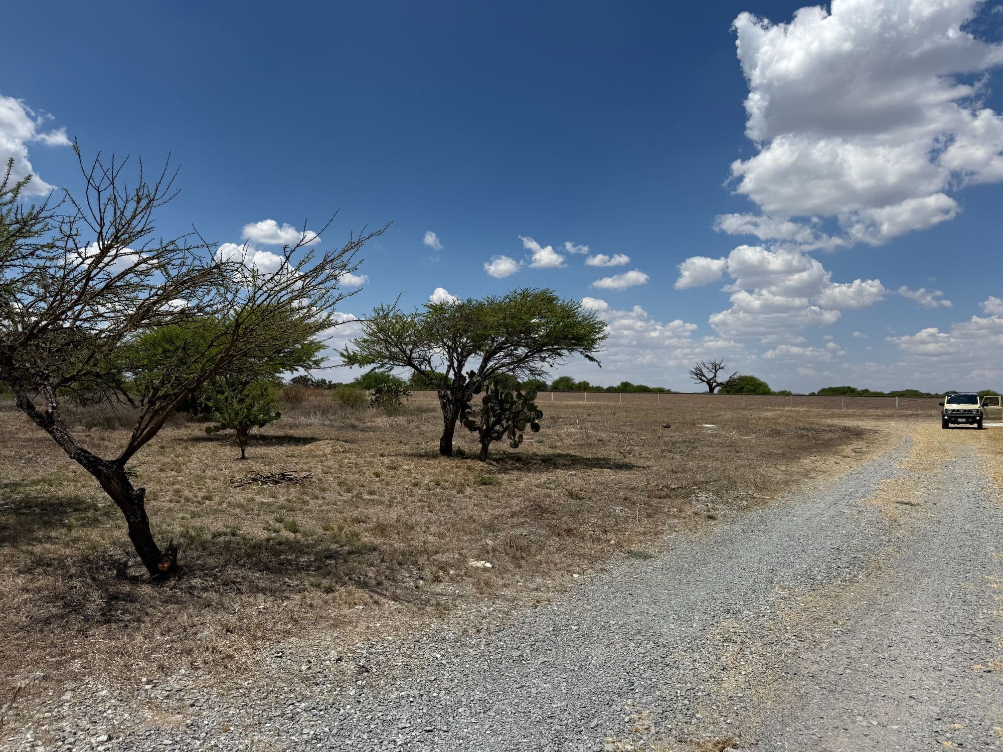 VENTA 8.8 HA CAMINO A DOLORES HIDALGO — photo 5 of 8