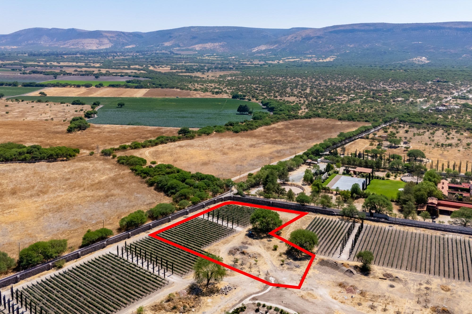 Viñedos Patria Lote 5 — photo 4 of 10