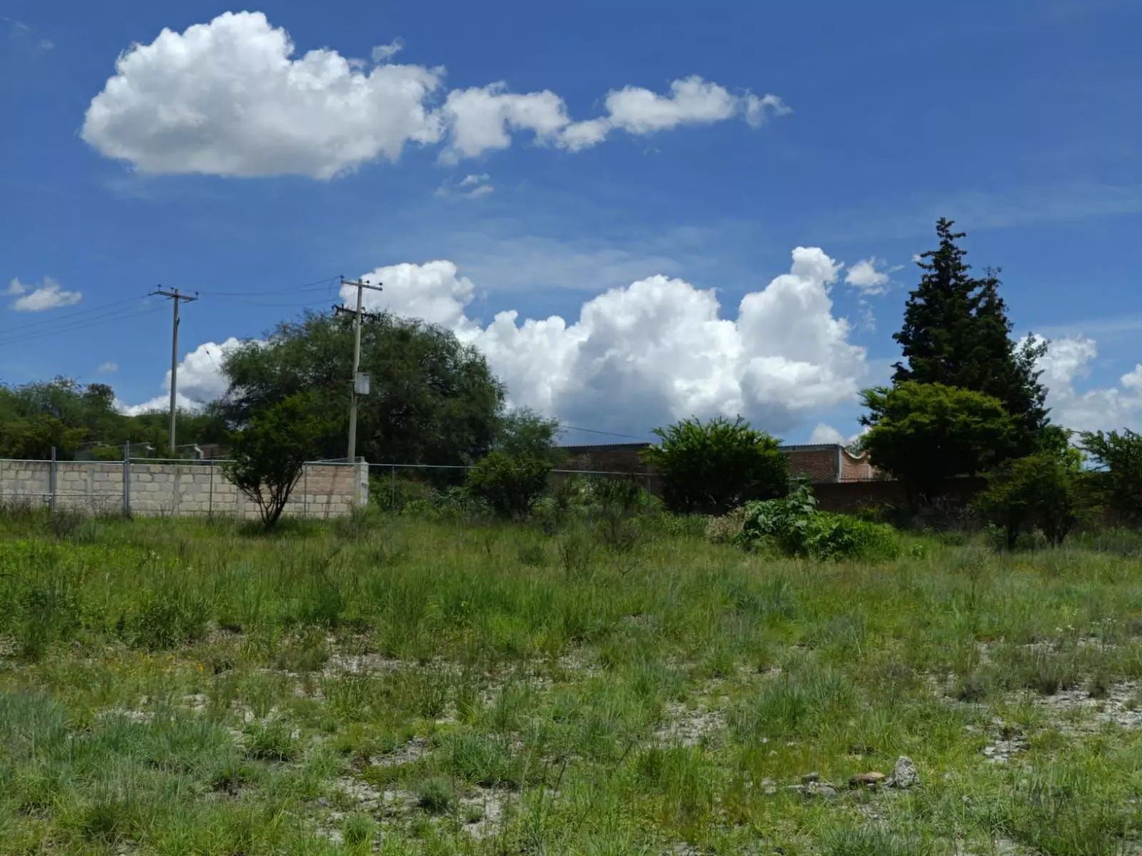 Lote Angeles — photo 6 of 10