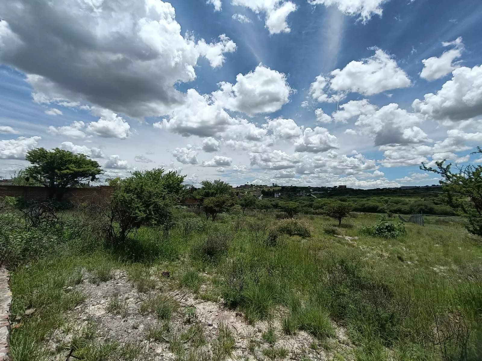 Lote Angeles — photo 7 of 10