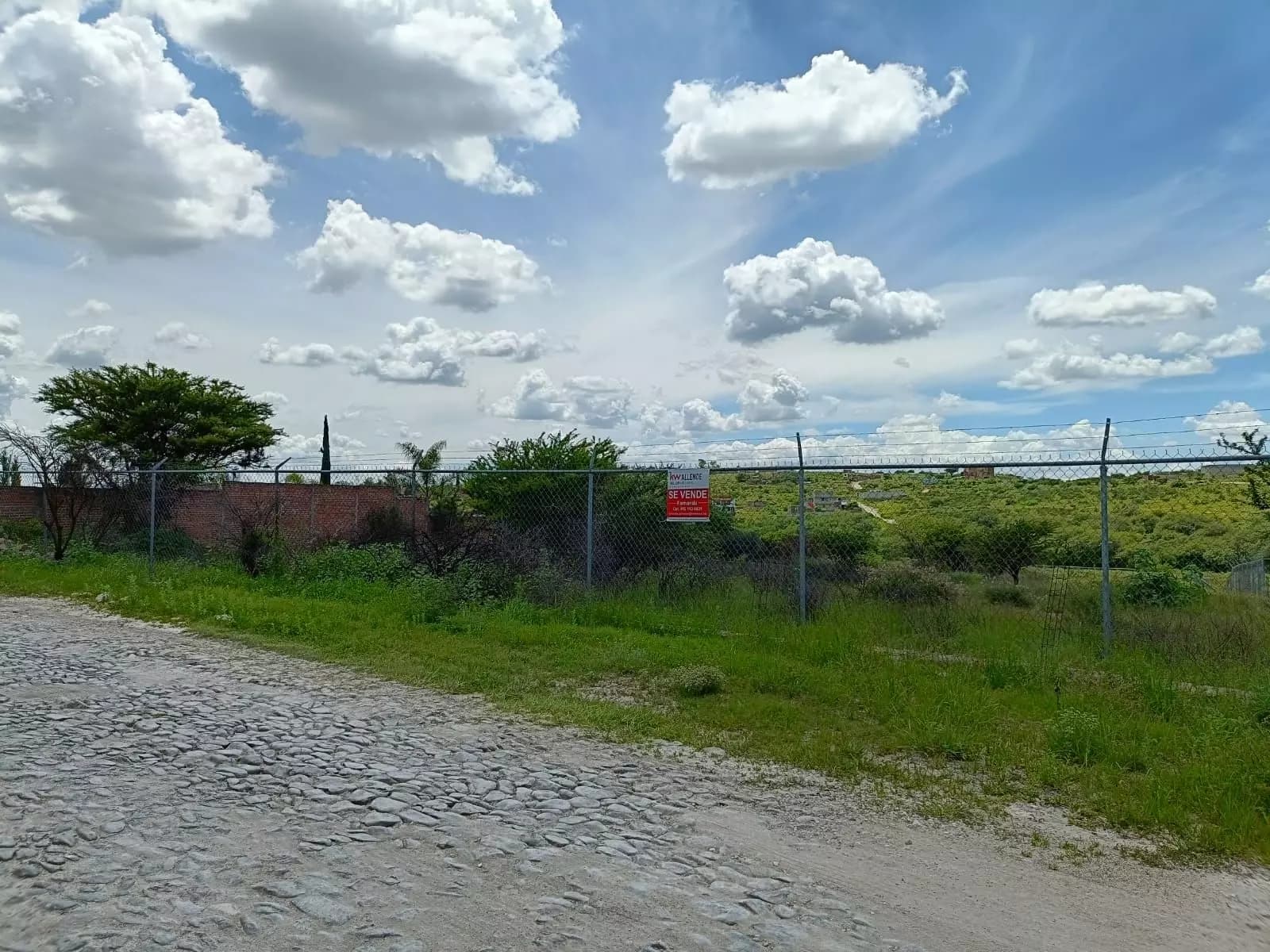 Lote Angeles — photo 8 of 10