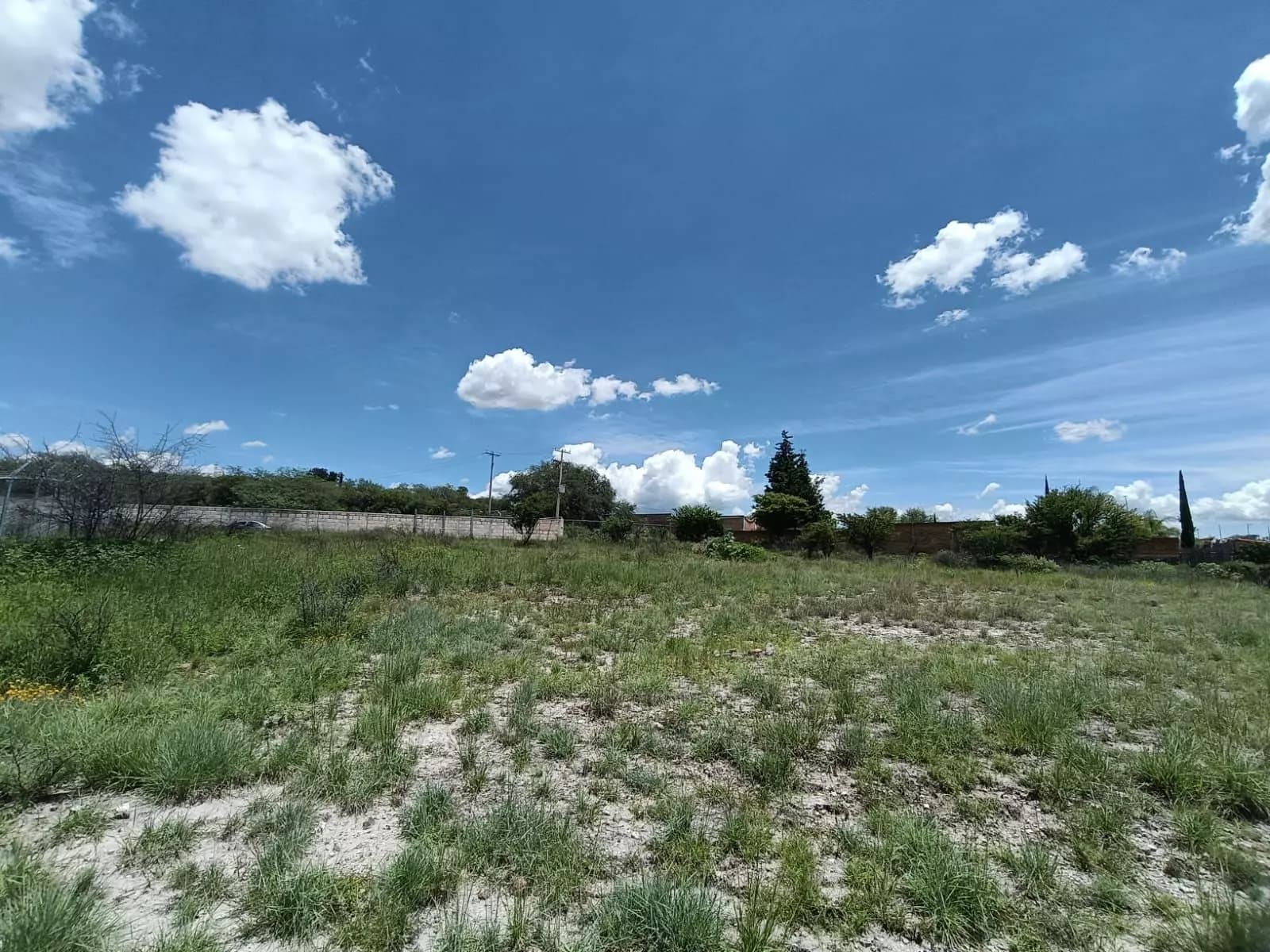 Lote Angeles — photo 9 of 10