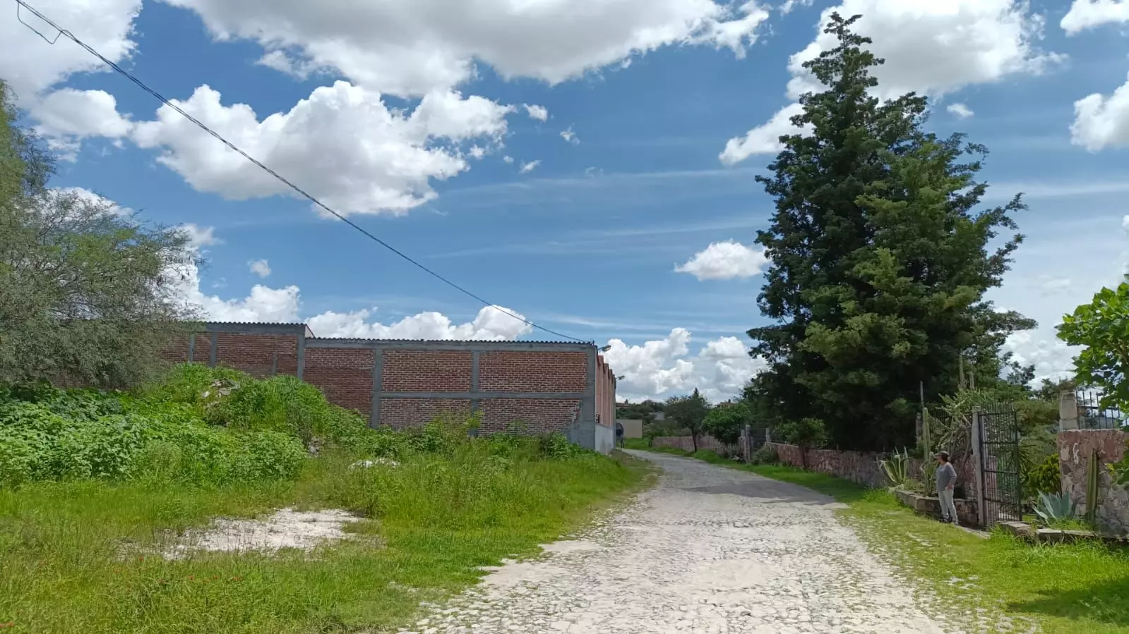 Lote Angeles — photo 4 of 10