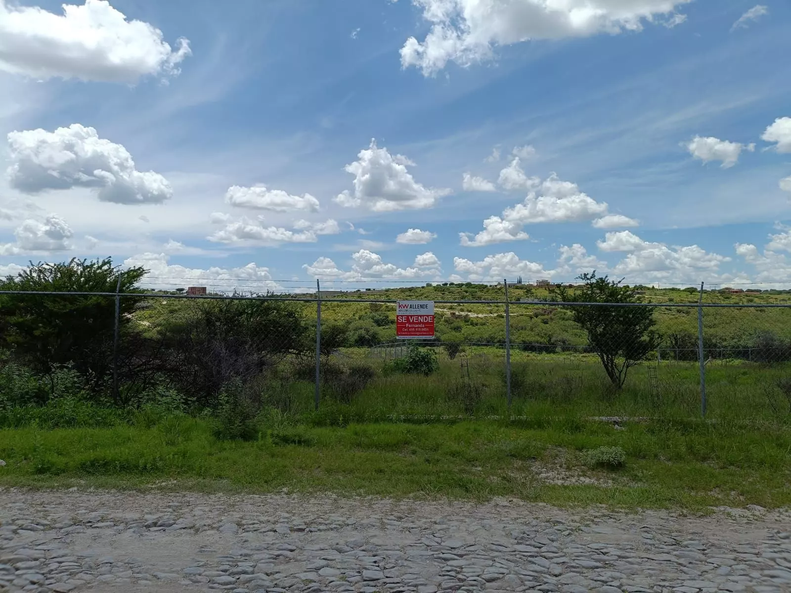 Lote Angeles — photo 5 of 10