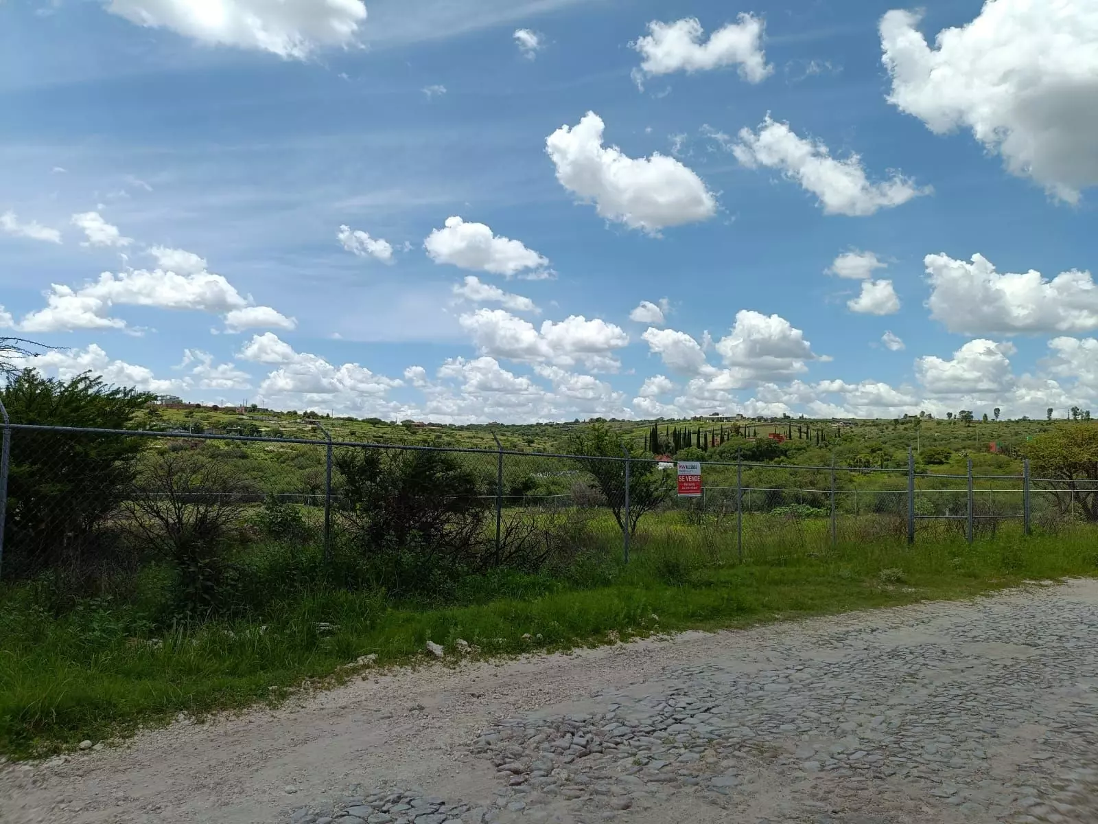 Lote Angeles — photo 10 of 10