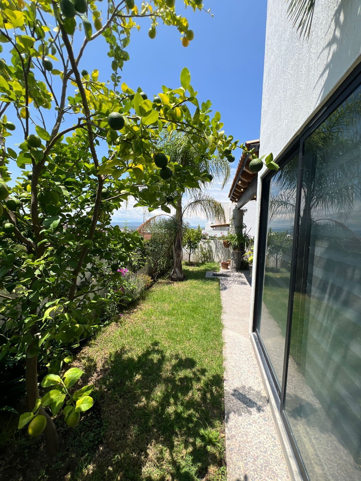 La Condesa — photo 7 of 10