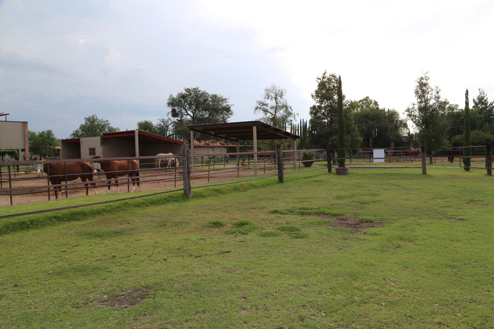 Lote Granja Las Ánimas — photo 6 of 9