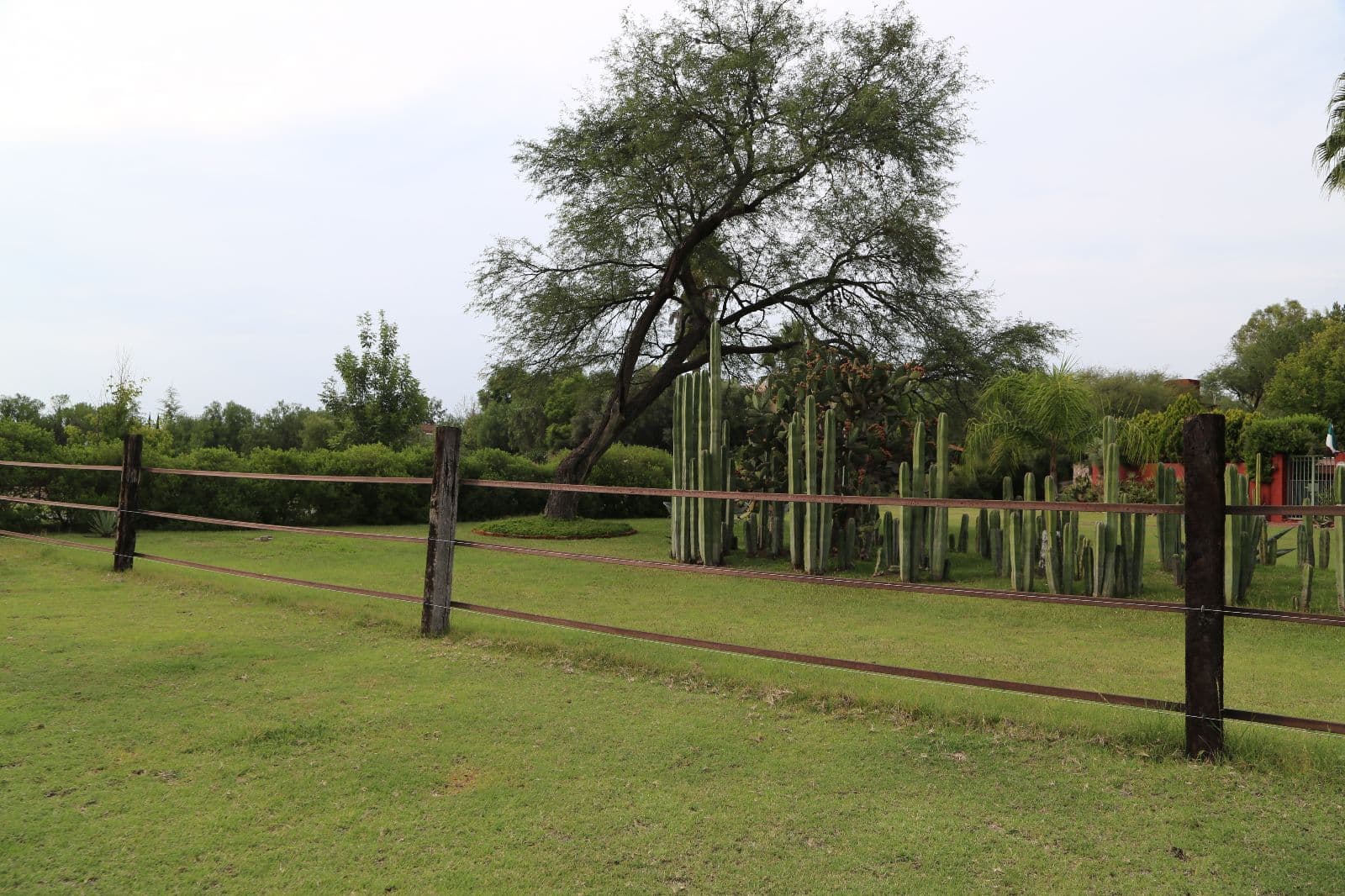 Lote Granja Las Ánimas — photo 7 of 9