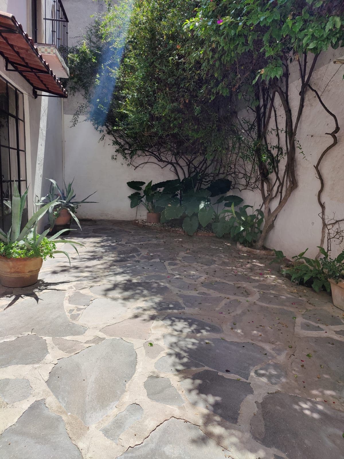 Casa Minerva — photo 5 of 10