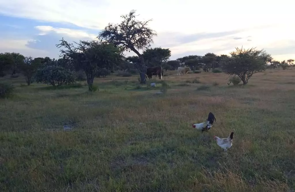 Terreno Campestre Lavista Ii — photo 3 of 6