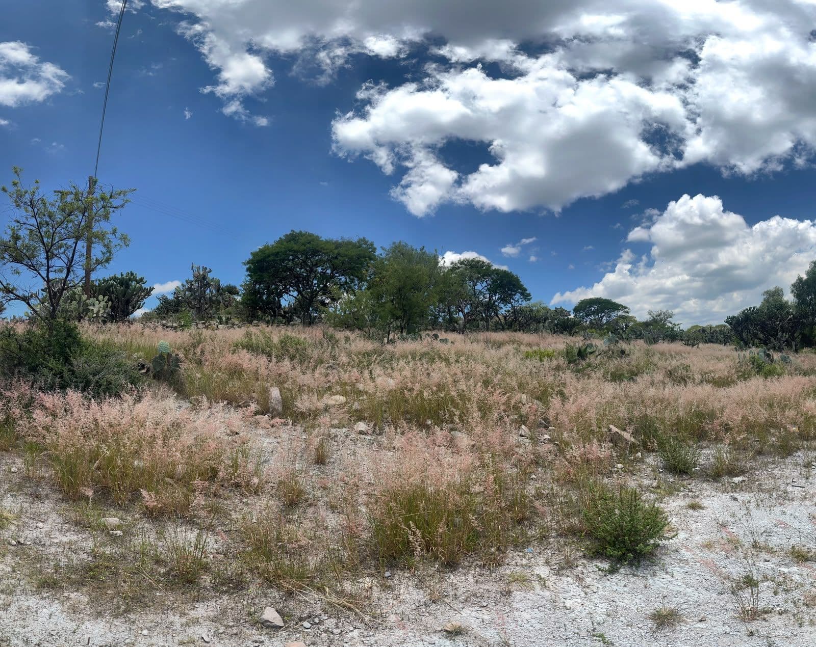 Terreno en Puerto de Sosa — photo 1 of 7