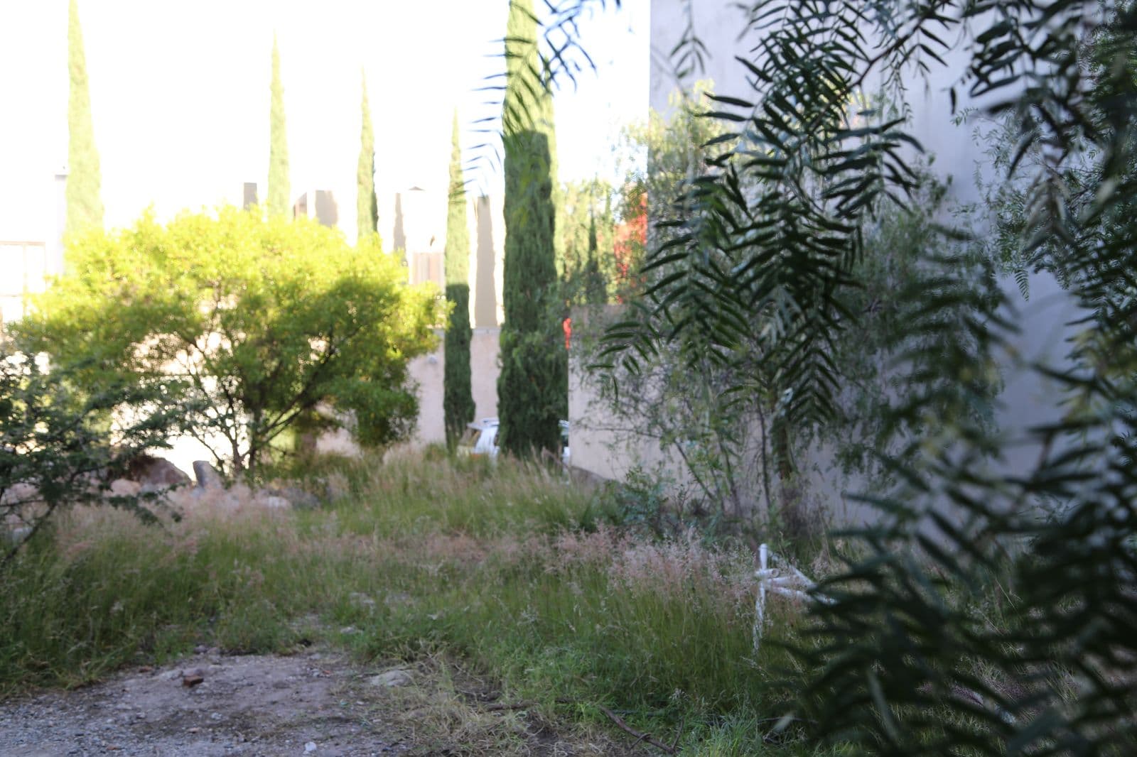 Lote San Gamaliel 52 — photo 4 of 5