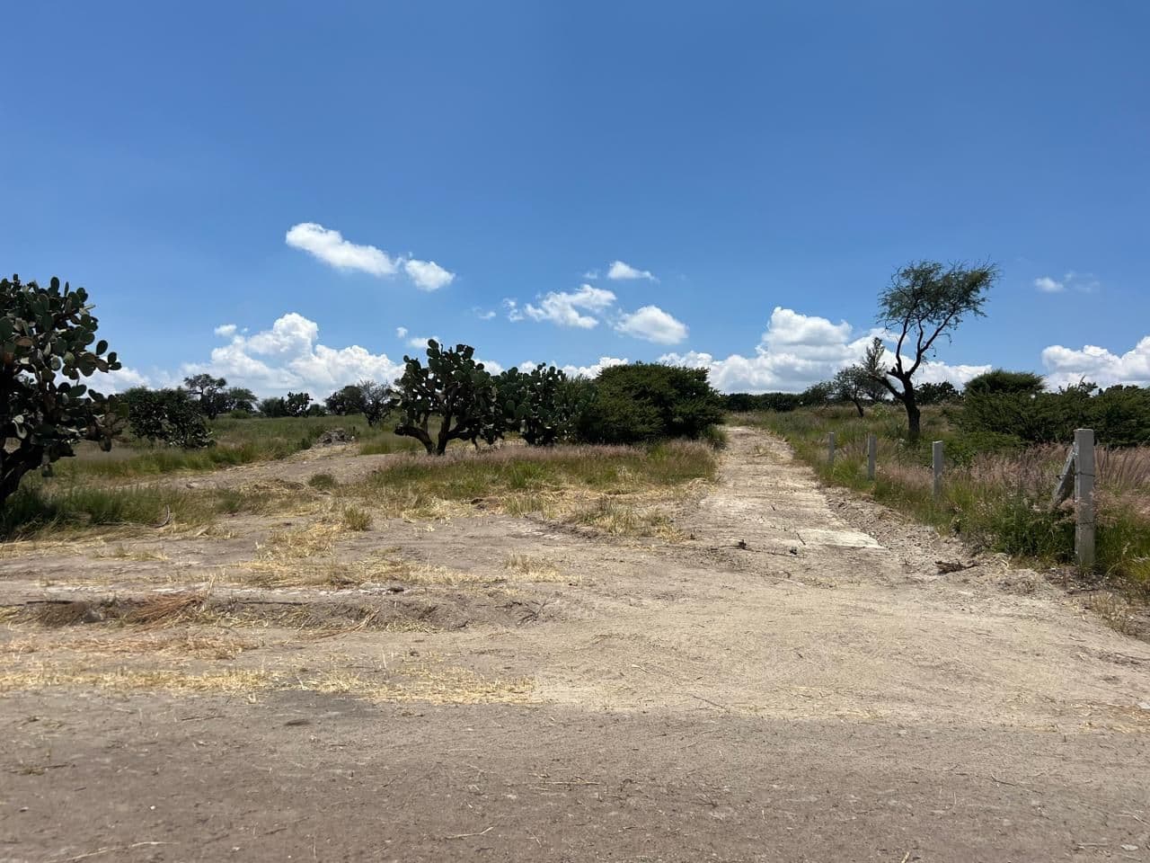 Lote Loma de San Miguel 17 — photo 9 of 10