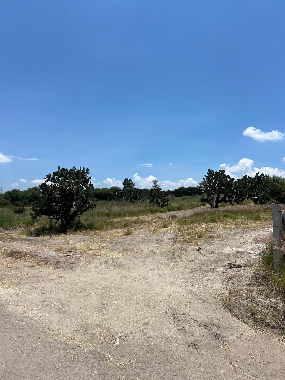 Lote Loma de San Miguel 17 — photo 7 of 10