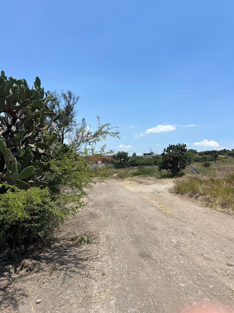 Lote Loma de San Miguel 17 — photo 6 of 10