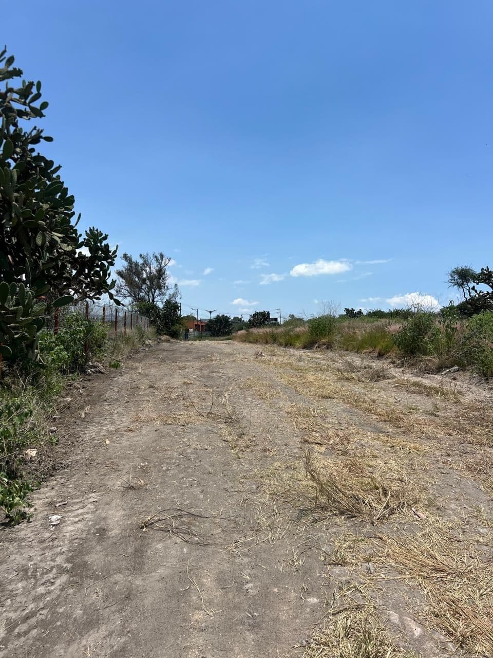 Lote Loma de San Miguel 17 — photo 4 of 10