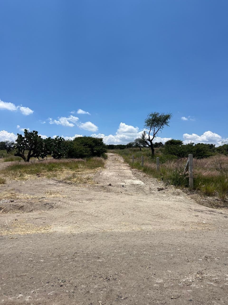 Lote Loma de San Miguel 17 — photo 8 of 10