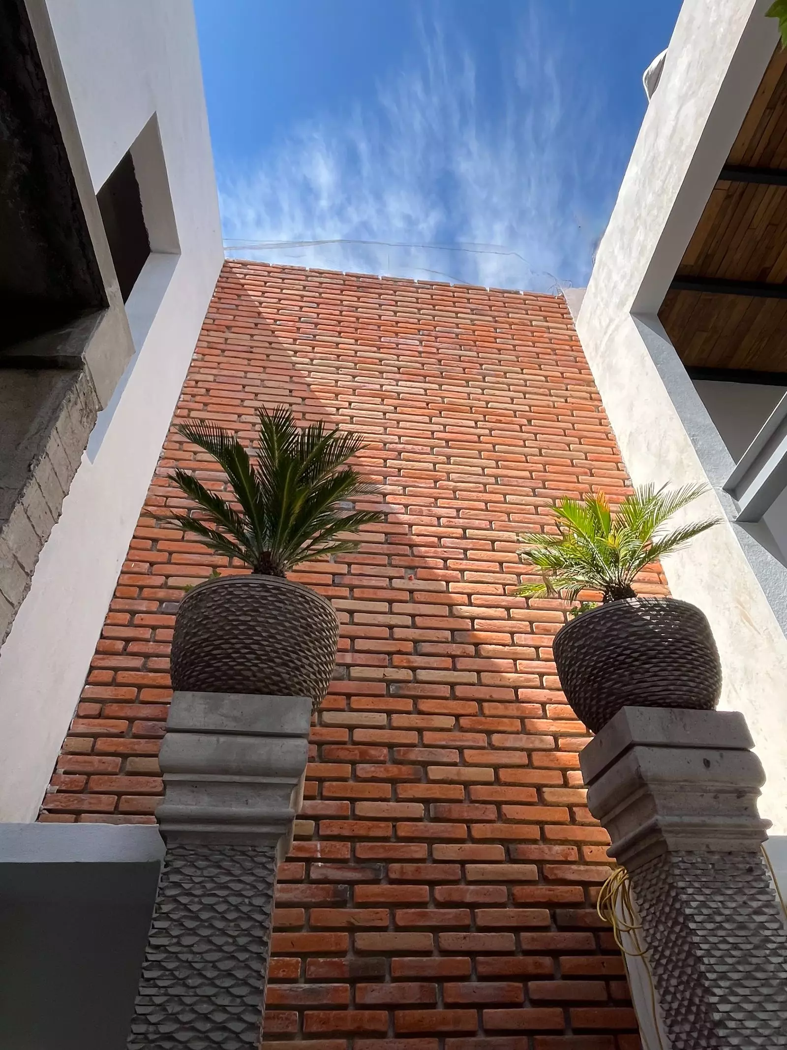 Casa Paloma — photo 8 of 10