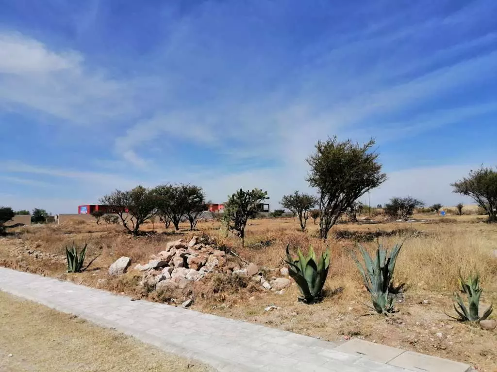 Terreno Camino Real — photo 3 of 9