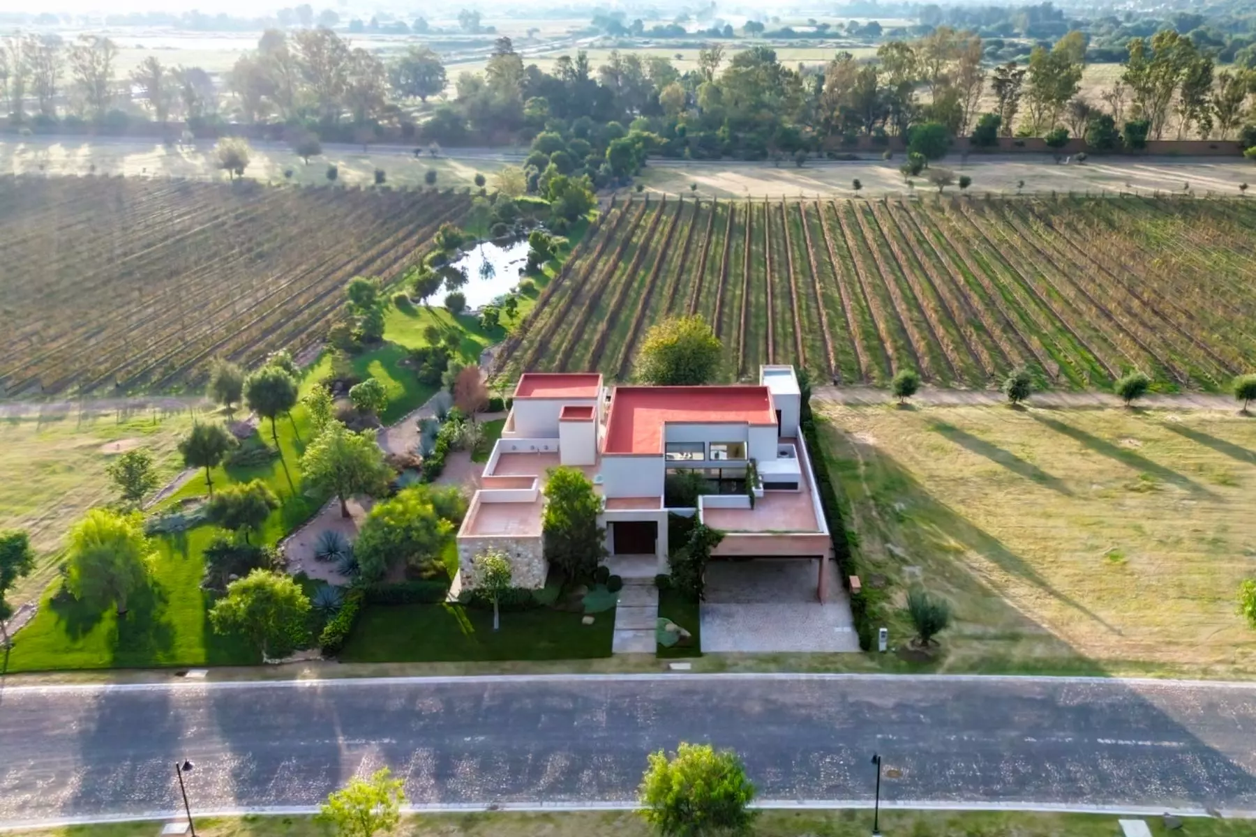 Los Remedios Tempranillo 307 — photo 9 of 10