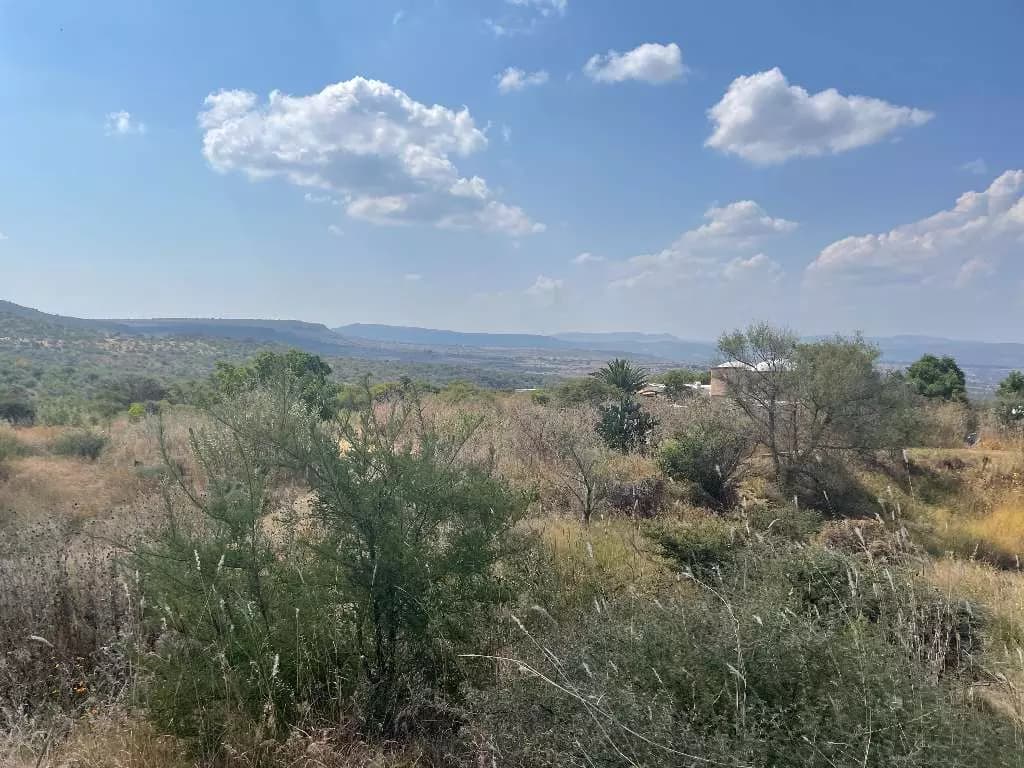 Cabras Agrihood Lot II — photo 7 of 10