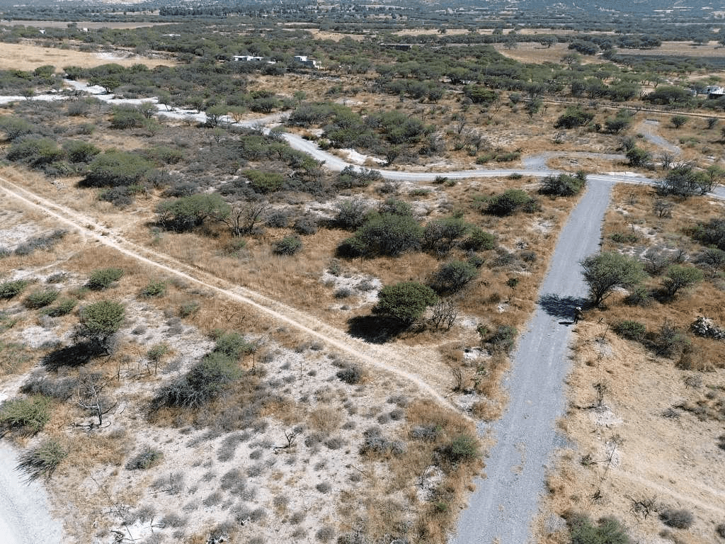 La Caridad Country Lots — photo 8 of 10