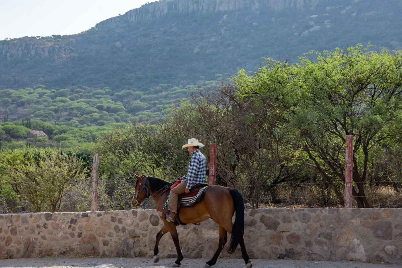 Privada los Sagrados — photo 9 of 10