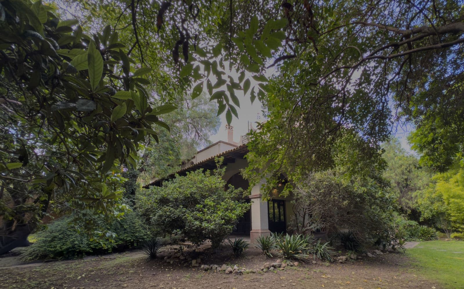Casa Persea — photo 7 of 10