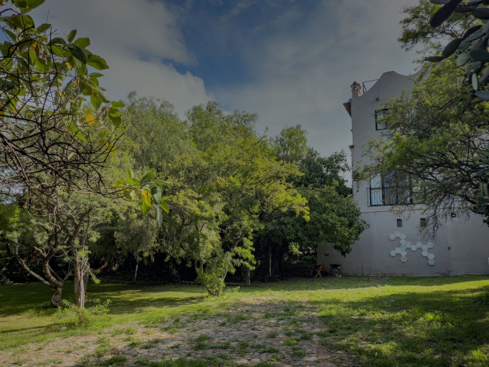 Casa Persea — photo 6 of 10