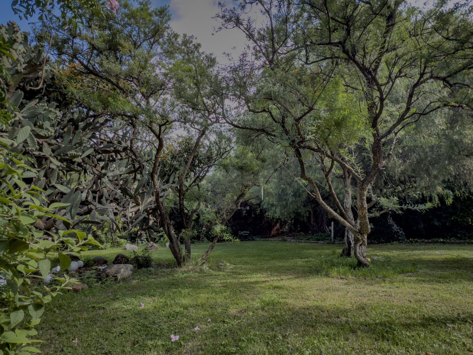Casa Persea — photo 4 of 10