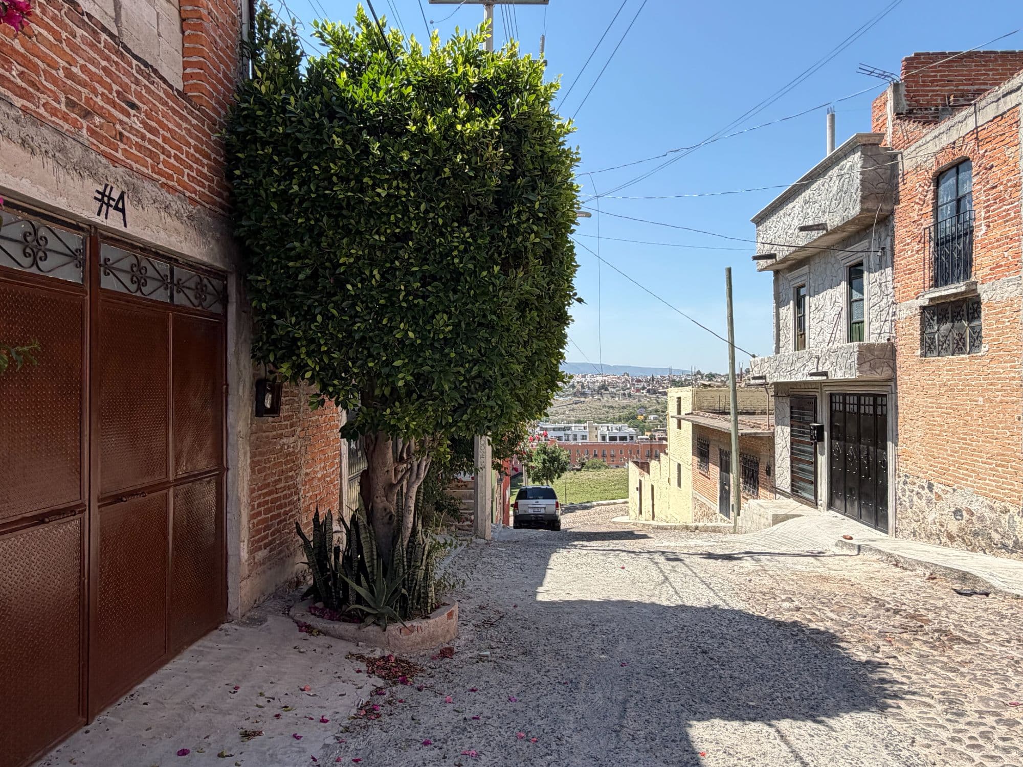 Casa Carmelo — photo 3 of 8