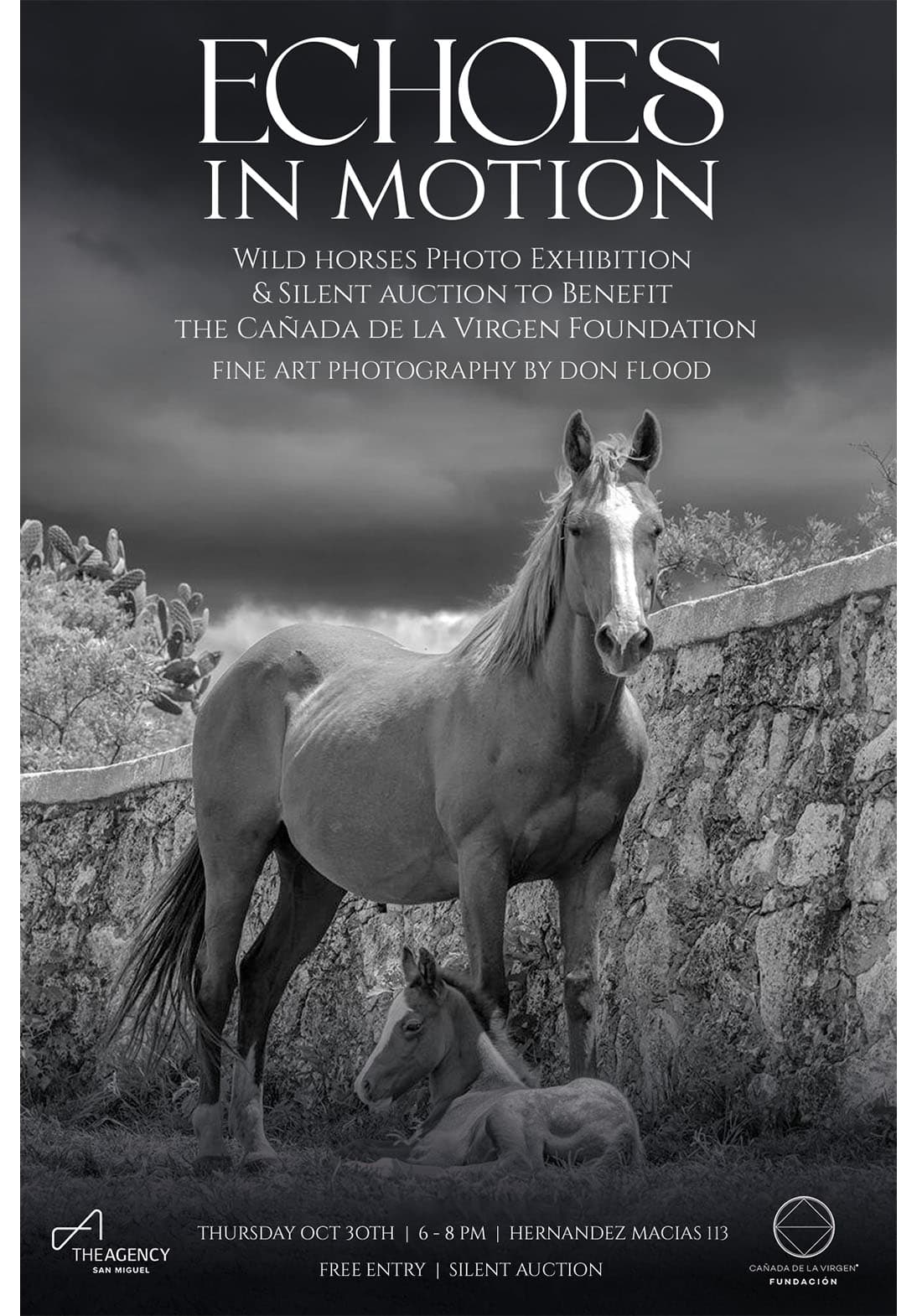 Echoes in Motion