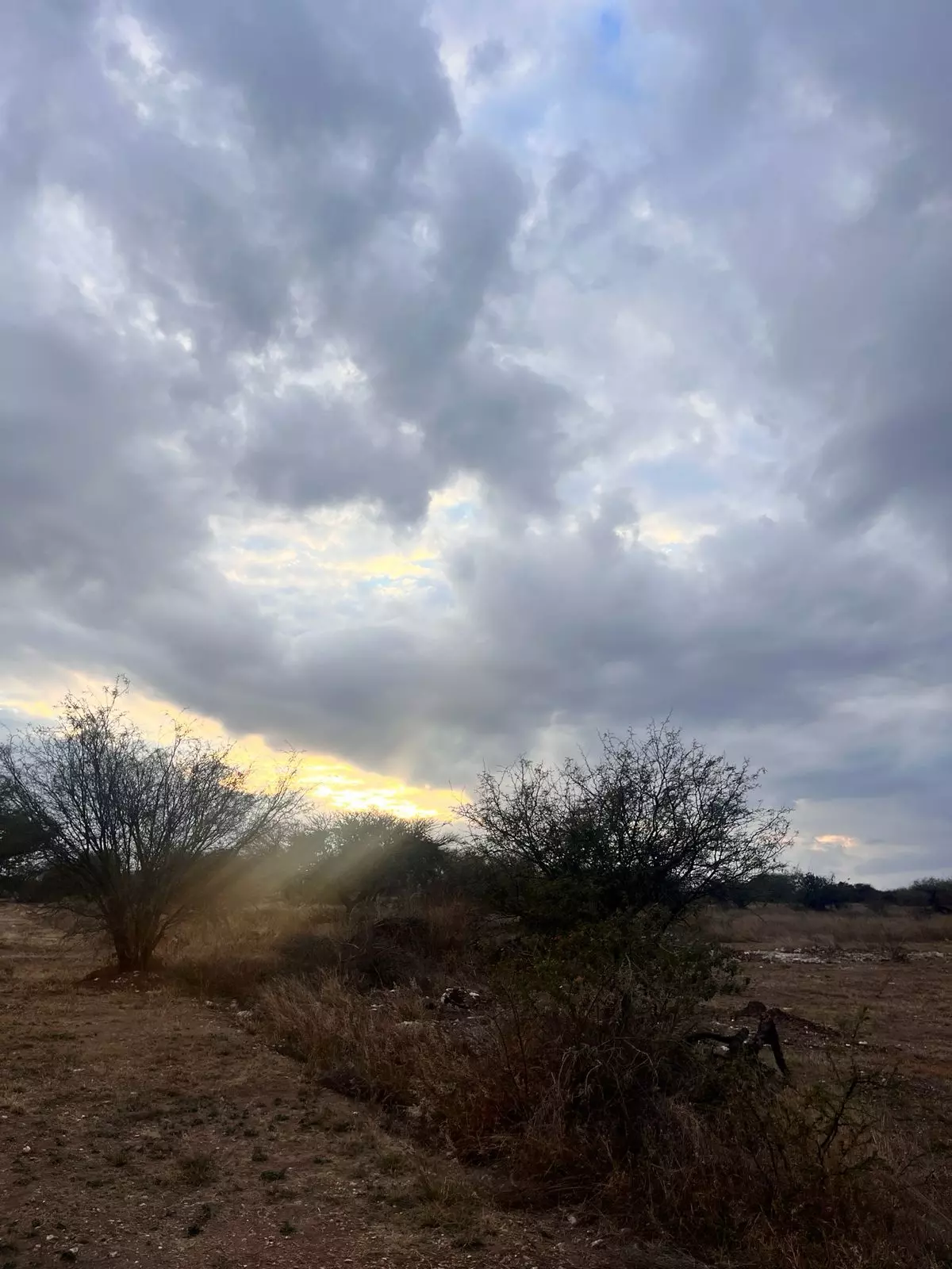 Reserva Macehual — photo 1 of 1