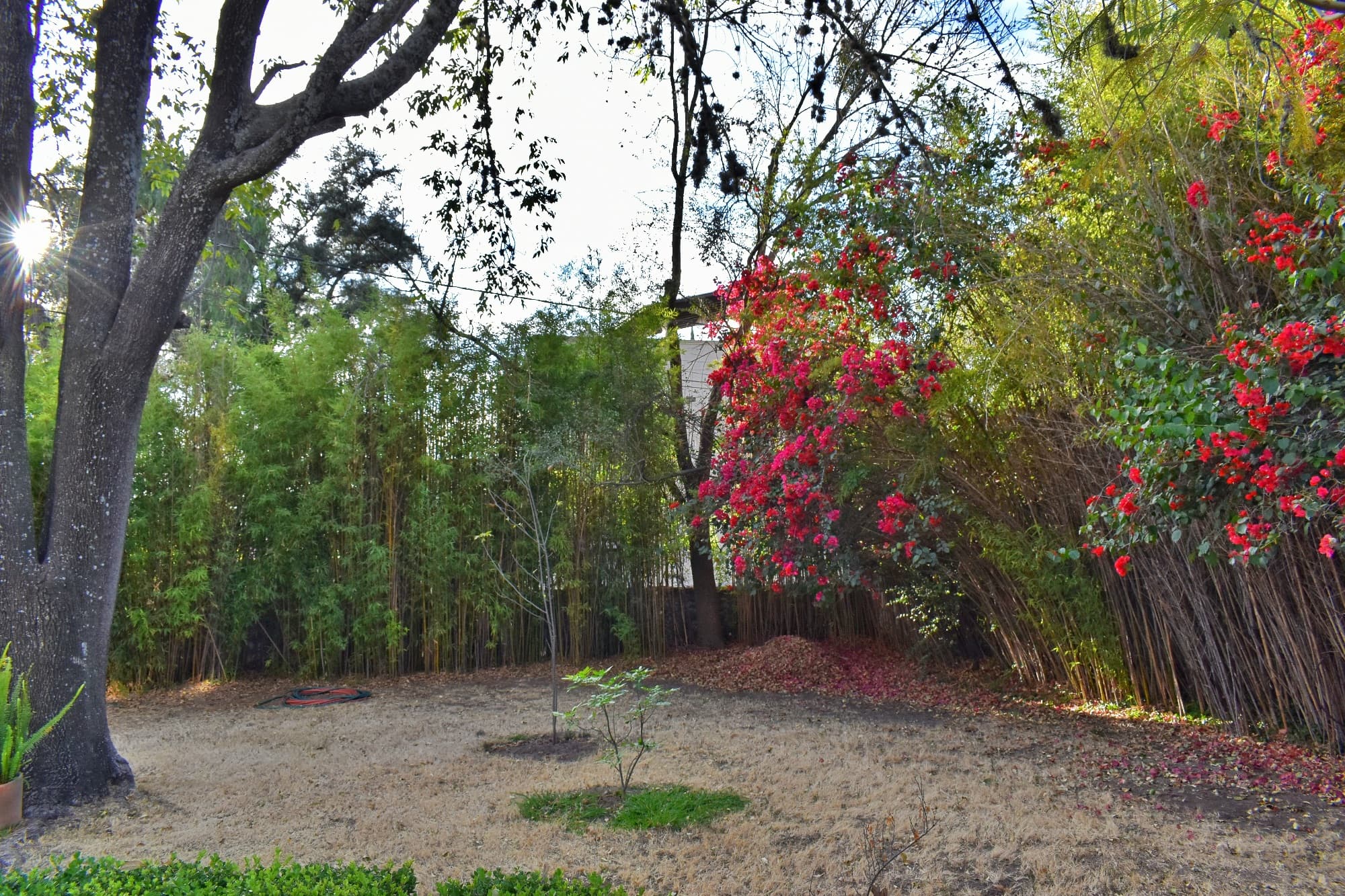 Lot Cerrojo — photo 1 of 1